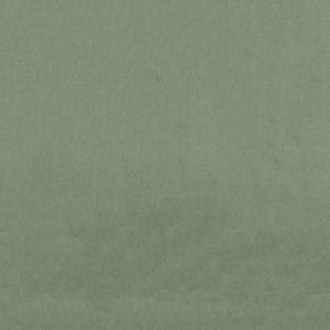 Finale Sage 202 by Norbar Fabric COMMODORE 100% POLYESTER 56 - Fabric Carolina -