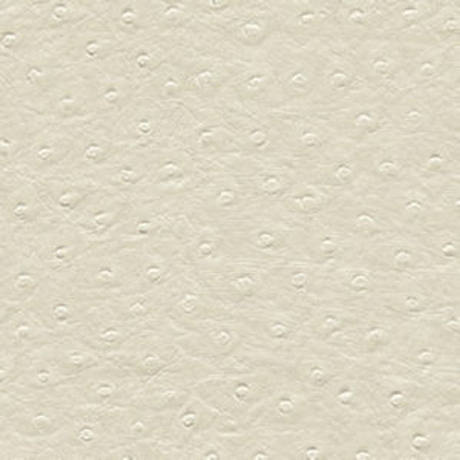 Brandon White by Norbar Fabric EUPHORIA 100% PHTHALATE FREE VINYL S. KOREA 54 - Fabric Carolina - Brandon White by Norbar Fabric EUPHORIA 100% PHTHALATE FREE VINYL S. KOREA 54 - Fabric Carolina -