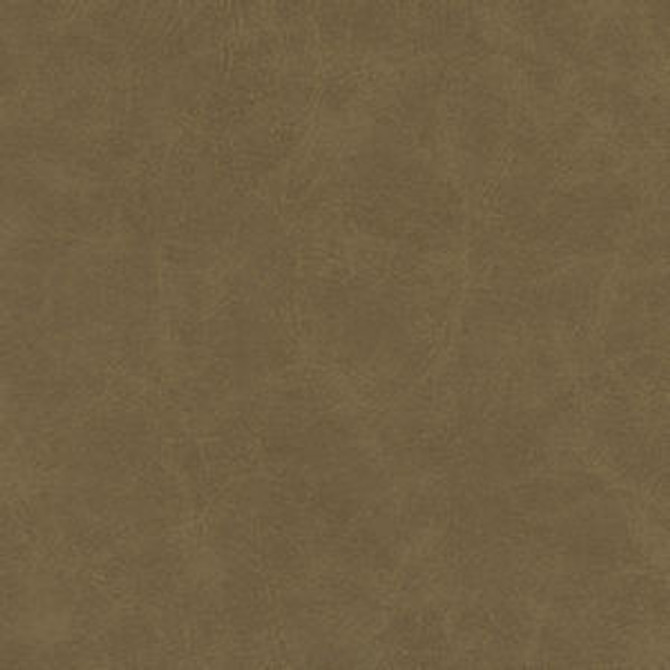 Randolph Limestone by Norbar Fabric EUPHORIA 100% PHTHALATE FREE VINYL S. KOREA 54" - Fabric Carolina - Randolph Limestone by Norbar Fabric EUPHORIA 100% PHTHALATE FREE VINYL S. KOREA 54" - Fabric Carolina -