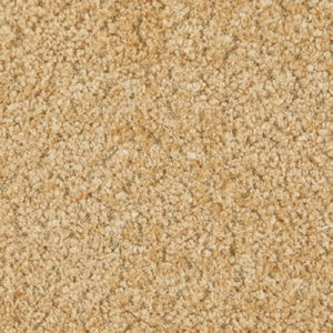 Jericho Teddy by Norbar Fabric LISBON 100% POLYESTER CHINA 54 - Fabric Carolina -