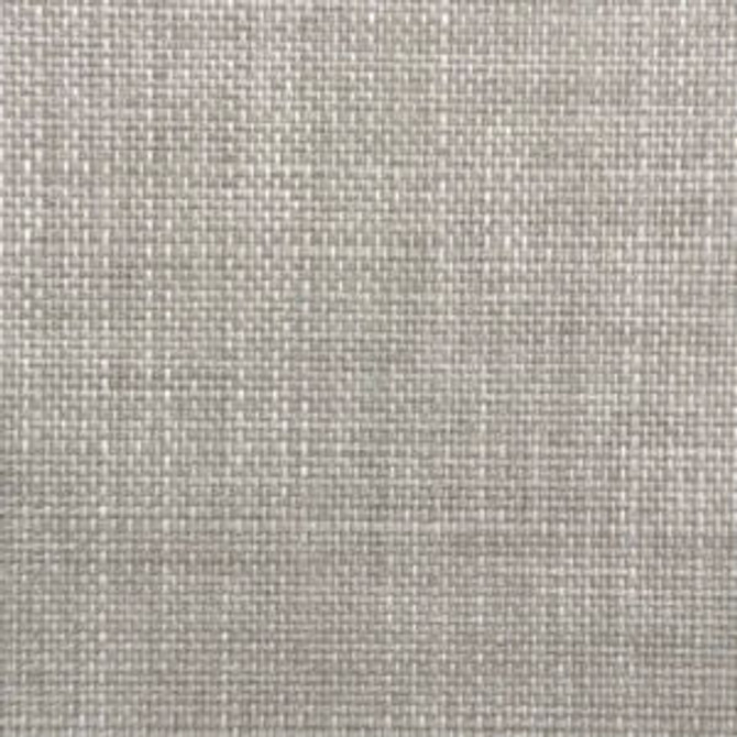 Opium Silver Gray by Norbar Fabric MIDNIGHT 100% POLYESTER CHINA 55 - Fabric Carolina -