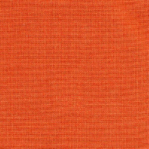 Rave Penny by Norbar Fabric OKIN 100% POLYESTER INDIA 54 - Fabric Carolina -