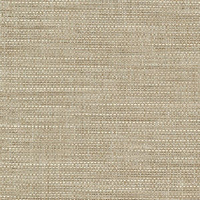 Wade Wet Sand 17 by Norbar Fabric OKIN 100% POLYESTER NORTH AMERICA 54 - Fabric Carolina - Wade Wet Sand 17 by Norbar Fabric OKIN 100% POLYESTER NORTH AMERICA 54 - Fabric Carolina -