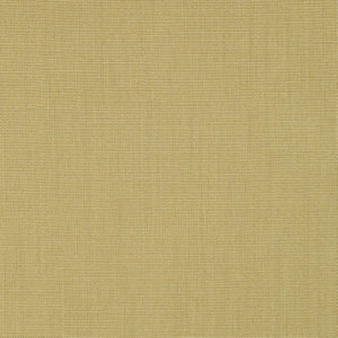 Sakara Hummus 235 by Norbar Fabric SAKARA 100% LINEN BRAZIL 54 - Fabric Carolina - Sakara Hummus 235 by Norbar Fabric SAKARA 100% LINEN BRAZIL 54 - Fabric Carolina -
