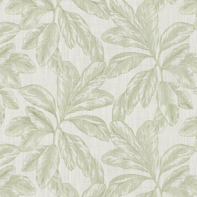 Paradise Emb Celery 472130 by PK Lifestyles Fabric Design by Nature VIII Base: 75% Cotton, 25% Polyester EMB: 100% Rayon India 33000 H: 13.25, V: 9.25 53 - Fabric Carolina - Paradise Emb Celery 472130 by PK Lifestyles Fabric Design by Nature VIII Base: 75% Cotton, 25% Polyester EMB: 100% Rayon India 33000 H: 13.25, V: 9.25 53 - Fabric Carolina -