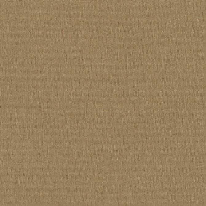 Belcourt Praline 472711 by PK Lifestyles Fabric PKL Studio June 2025 52% Fire Retardant Polyester, 48% Polyester Turkey 18000 H: N/A, V: N/A 57 - Fabric Carolina -