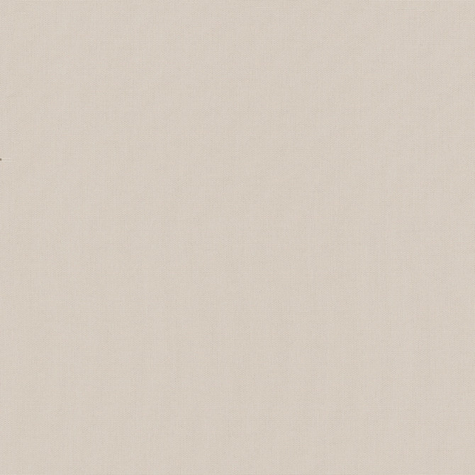 Belcourt Shell 472749 by PK Lifestyles Fabric PKL Studio June 2025 52% Fire Retardant Polyester, 48% Polyester Turkey 18000 H: N/A, V: N/A 57 - Fabric Carolina -