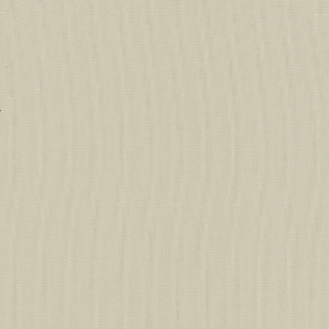 Belcourt Biscuit 472750 by PK Lifestyles Fabric PKL Studio June 2025 52% Fire Retardant Polyester, 48% Polyester Turkey 18000 H: N/A, V: N/A 57 - Fabric Carolina - Belcourt Biscuit 472750 by PK Lifestyles Fabric PKL Studio June 2025 52% Fire Retardant Polyester, 48% Polyester Turkey 18000 H: N/A, V: N/A 57 - Fabric Carolina -