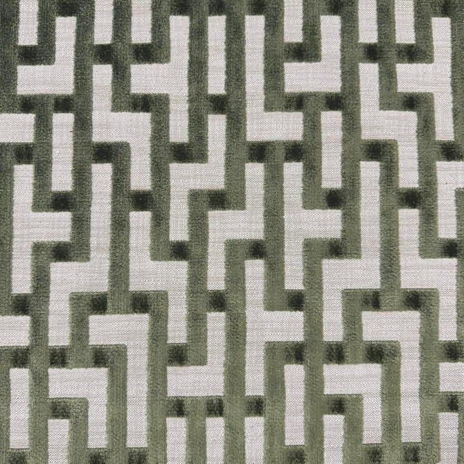 Eunap Moss by Magnolia Fabric - 37% Viscose, 34% Cotton, 29% Polyester India 51000 Horizontal: 6.75 and Vertical: 9.5 54 - Fabric Carolina -