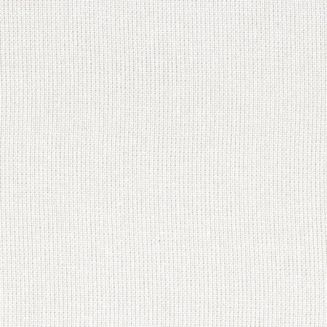 Wispy Bamboo Texture White Cap by RM CoCo Fabric Naturally Speaking 95% Bamboo 5% Linen See Sample 25000 Horizontal: 0 and Vertical: 0 54 - Fabric Carolina -