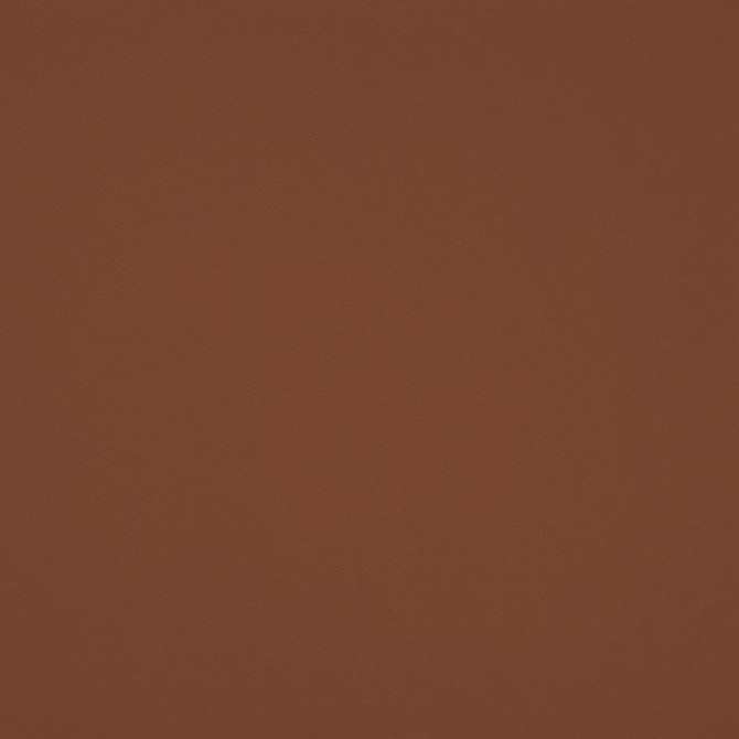 Chaparral Performance FR Faux-Leather Redwood by RM CoCo Fabric Chaparral Performance FR Faux Leather 100% PVC (Phthalate free/heavy metals free) See Sample 100000 Horizontal: 0 and Vertical: 0 55 - Fabric Carolina -