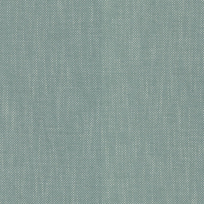 Dominica Grotto by RM CoCo Fabric Island Breeze II InsideOut Performance 100% UV Polyester See Sample 51000 Horizontal: 0.19 and Vertical: 0.19 56 - Fabric Carolina -