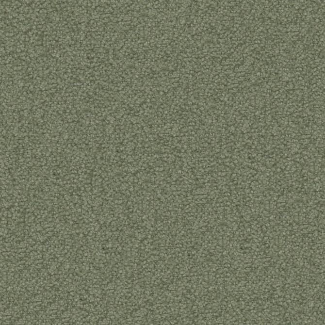 Texel # 1015 Sage by Maxwell Fabric Performance Textures V 56% RECYCLED POLYESTER
44% POLYESTER CHINA 54" - Fabric Carolina -