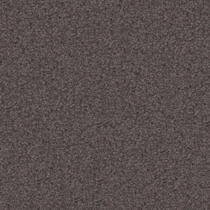 Texel # 951 Monument by Maxwell Fabric Performance Textures V 56% RECYCLED POLYESTER
44% POLYESTER CHINA 54" - Fabric Carolina -