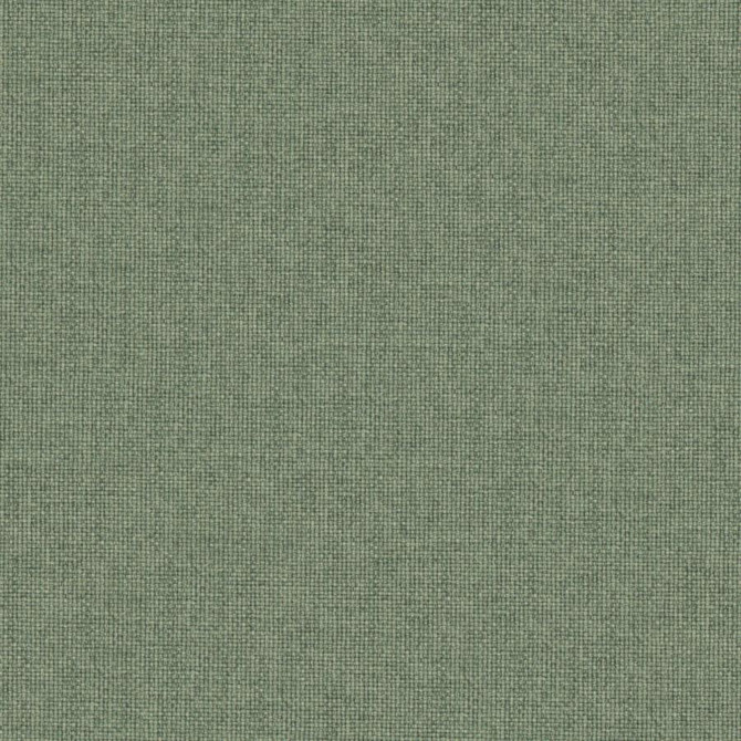 Valentina # 112 Hunter by Maxwell Fabric Wide Width Basics Iii 100% RECYCLED POLYESTER INDIA 118" - Fabric Carolina -