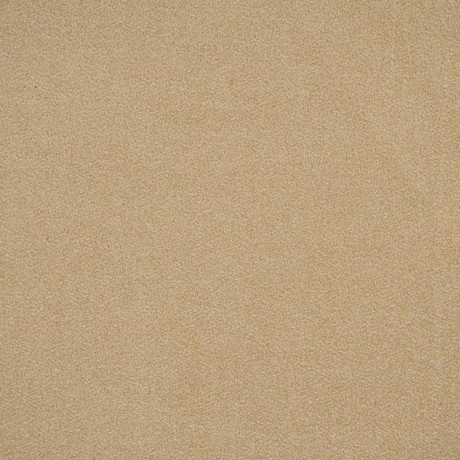 Banker # 849 Bluff by Maxwell Fabric Performance Wovens-Vol. Viii Honeycomb 100% POLYESTER CHINA 54" - Fabric Carolina -