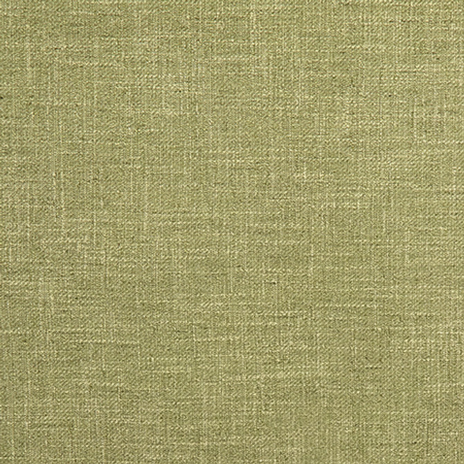 Astounding Apple by Carole Fabric Best Dressed 53% Cotton, 47% Polyester 15,000 Wyzenbeek Double Rubs None 54" - Fabric Carolina -