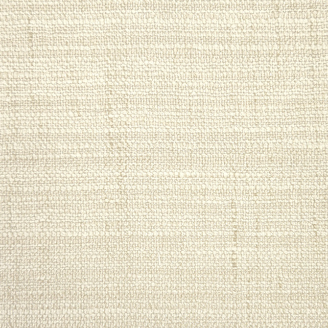 Notable Tofu by Carole Fabric Best Dressed 95% Polyester, 5% Cotton N/A None 54" - Fabric Carolina -