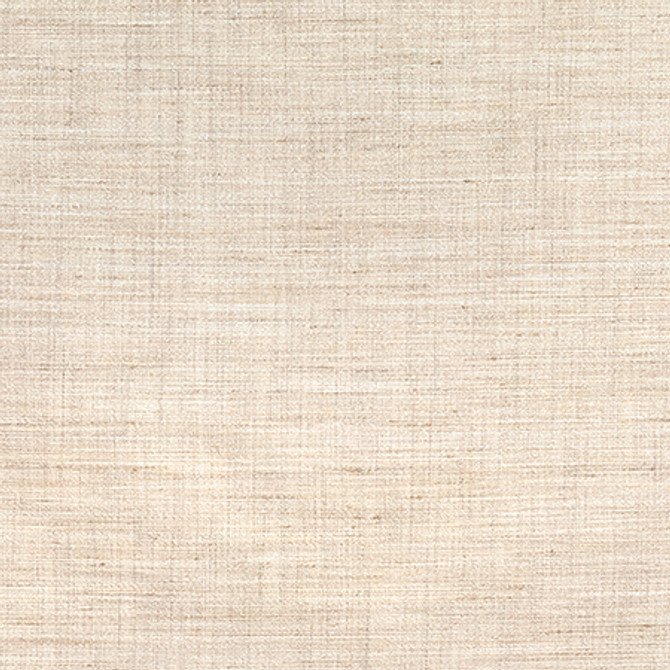 Prodigy Natural by Carole Fabric Best Dressed 100% Polyester 30,000 Wyzenbeek Double Rubs None 55" - Fabric Carolina -