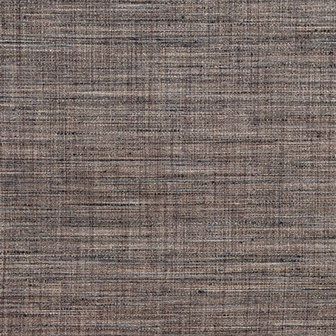 Prodigy River Rock by Carole Fabric Best Dressed 100% Polyester 30,000 Wyzenbeek Double Rubs None 55" - Fabric Carolina -