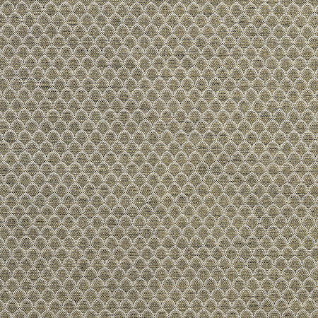 Tip The Scales Fern by Carole Fabric Form & Texture 53% Cotton, 47% Polyester 35,000 Martindale Circular Rubs 1" V, 3/4" H 54" - Fabric Carolina -