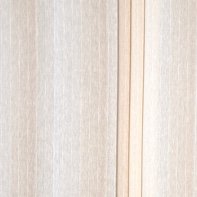 Follow The Light Natural by Carole Fabric Sheer Impressions 69% Polyester, 31% Cotton N/A 3 1/8" V 118" - Fabric Carolina -