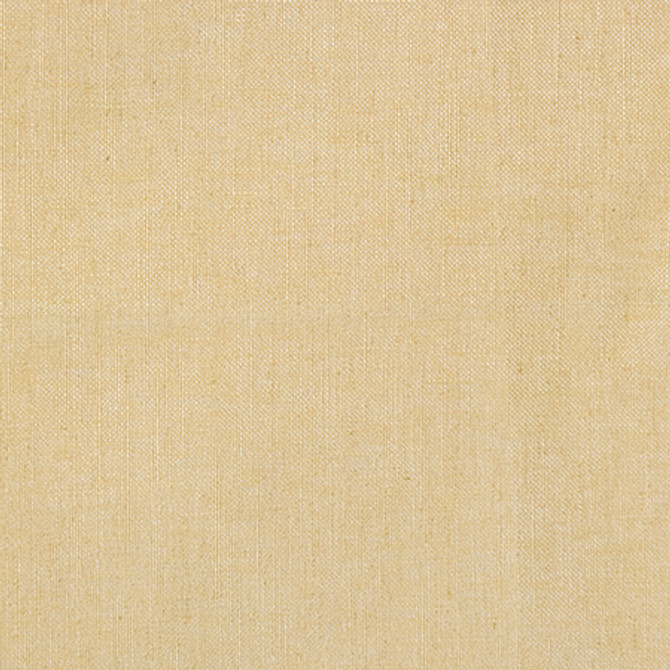 Hobbs Blonde by Carole Fabric Suit Yourself 69% Recycled Polyester, 26% Cotton, 5% Linen 51,000 Wyzenbeek Double Rubs None 54" - Fabric Carolina -