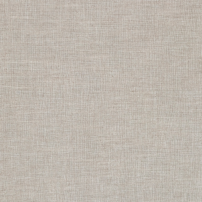 Nash Birch by Carole Fabric Suit Yourself 40% Polyester, 33% Recycled Polyester, 17% Cotton, 10% Linen 60,000 Wyzenbeek Double Rubs None 55" - Fabric Carolina -
