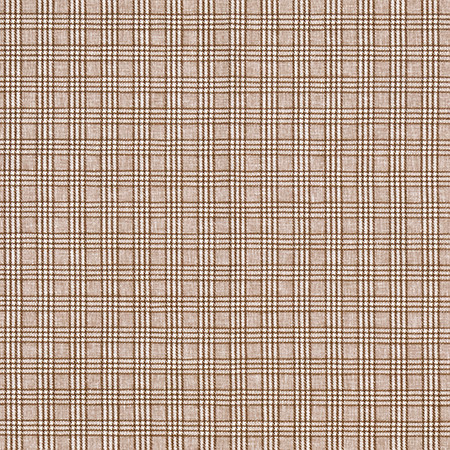 Newsworthy Acorn by Carole Fabric Well Suited 51% Polyester, 49% Cotton 60,000 Wyzenbeek Double Rubs 1 1/8" V, 1 1/8" H 55" - Fabric Carolina -
