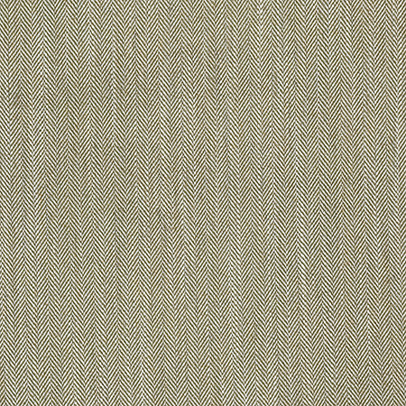 With Purpose Fern by Carole Fabric Well Suited 100% Polyester 50,000 Martindale Circular Rubs 1/8" V, 1 3/4" H 57" - Fabric Carolina -