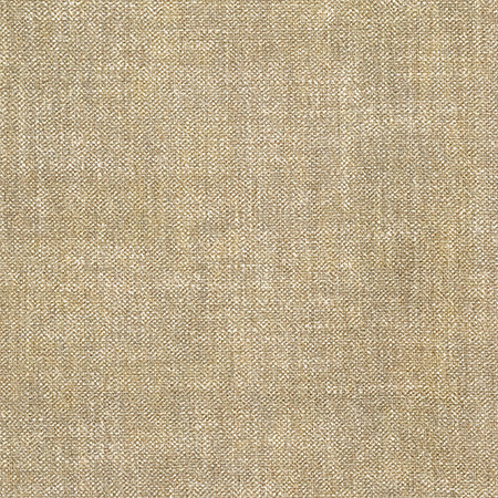 Wycliffe Green Tea by Carole Fabric Well Suited 100% Polyester 60,000 Wyzenbeek Double Rubs None 54" - Fabric Carolina -