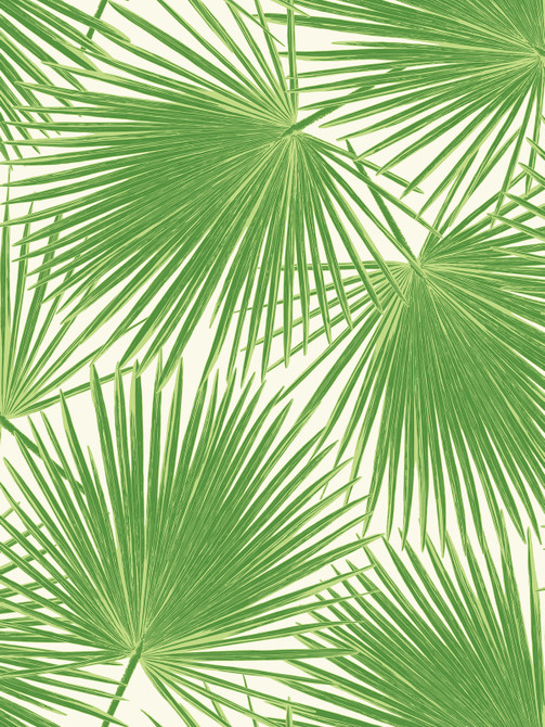 Aruba Fern Green and White by Seabrook Wallpaper Tortuga United States 60.75 36" 27" - Fabric Carolina -