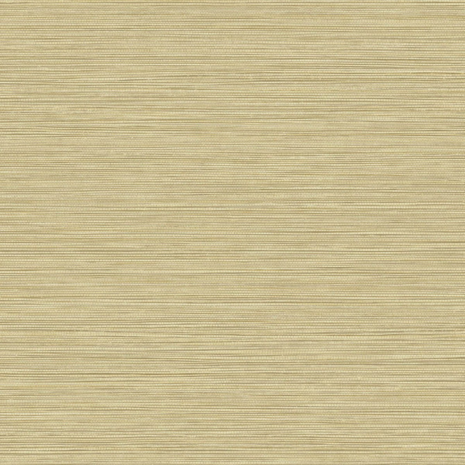 Grasslands Sandy Shores by Seabrook Wallpaper Texture Gallery United States 60.75 0" 27" - Fabric Carolina -