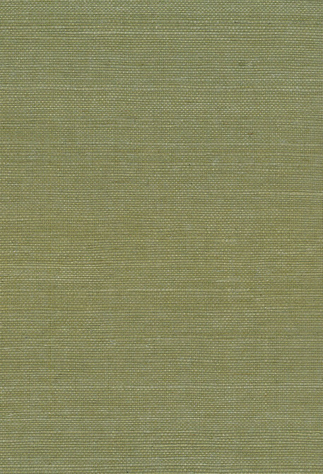 Sisal Green by Seabrook Wallpaper Natural Resource China 72 0" 36" - Fabric Carolina -