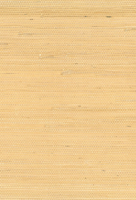 Jute Yellow/Gold by Seabrook Wallpaper Natural Resource China 72 0" 36" - Fabric Carolina -