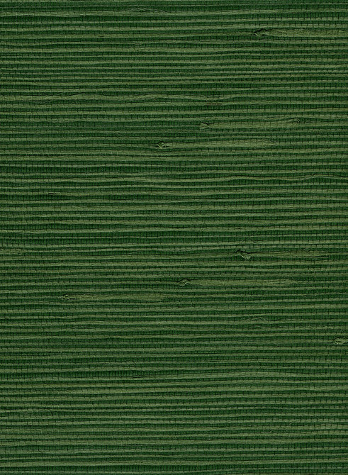 Jute Green by Seabrook Wallpaper Natural Resource China 72 0" 36" - Fabric Carolina -