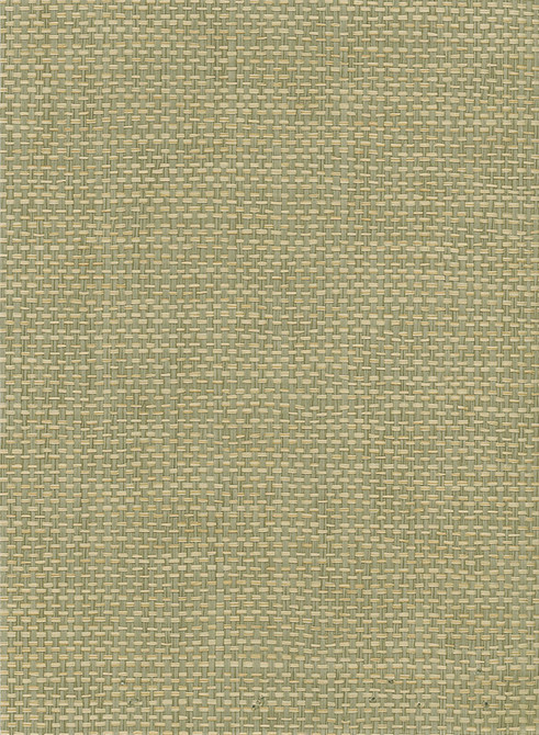 Paperweave Green, Tan by Seabrook Wallpaper Natural Resource China 72 0" 36" - Fabric Carolina -