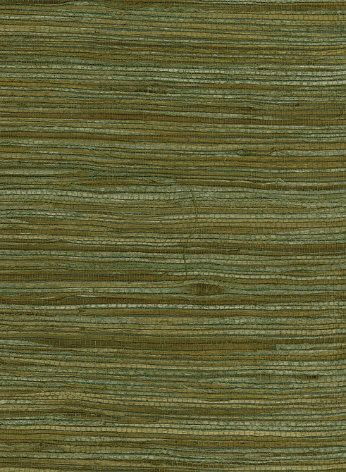 Water Hyancinth Green, Tan by Seabrook Wallpaper Natural Resource China 72 0" 36" - Fabric Carolina -