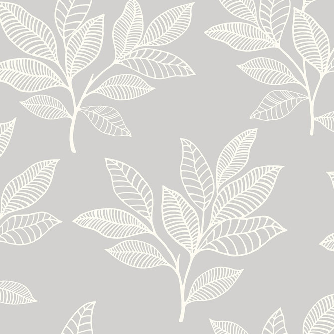 Paradise Leaves Daydream Gray by Seabrook Wallpaper Boho Rhapsody United States 56.05 20.87" 20.5" - Fabric Carolina -
