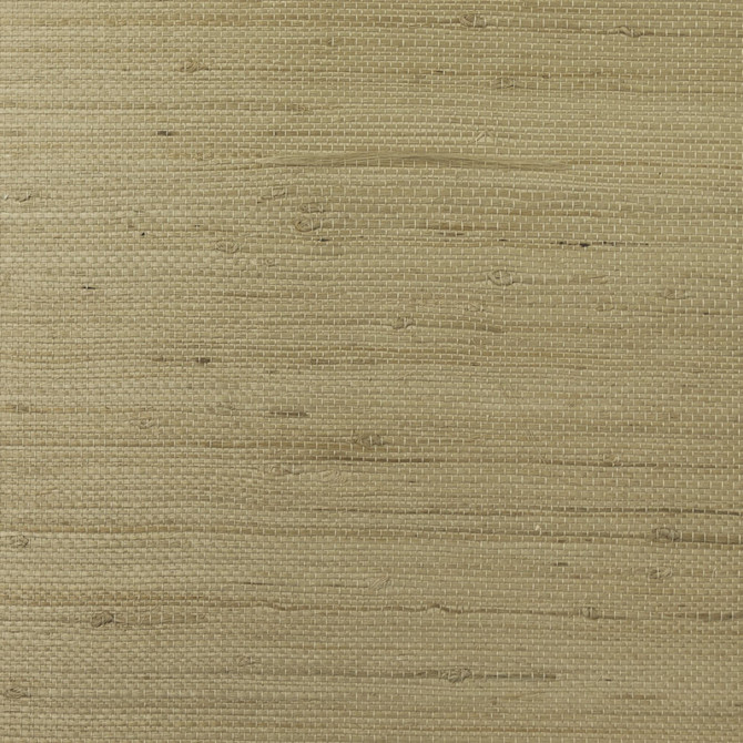 Jute Oat by Seabrook Wallpaper Lillian August Grasscloth Binder China 72 0" 36" - Fabric Carolina -
