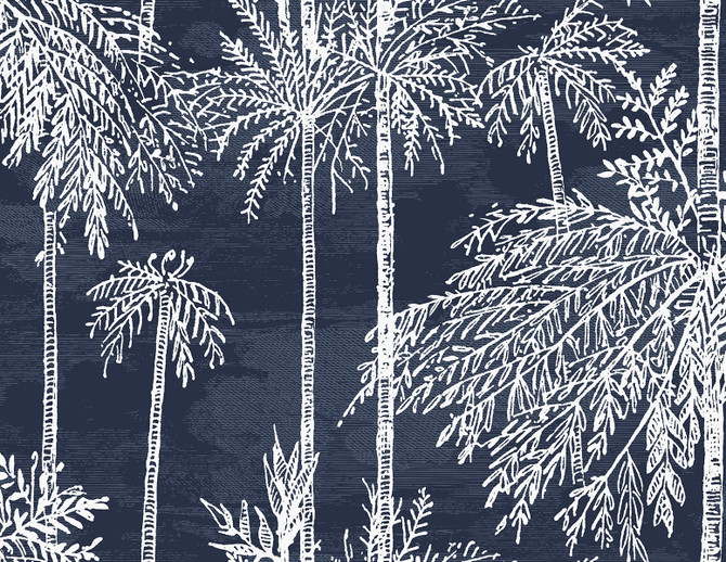 Palm Grove Midnight Sky by Seabrook Wallpaper Coastal Haven United States 60.75 20.87" 27" - Fabric Carolina -