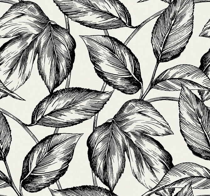 Beckett Sketched Leaves Volcanic Black by Seabrook Wallpaper Summer House United States 60.75 25.2" 27" - Fabric Carolina -