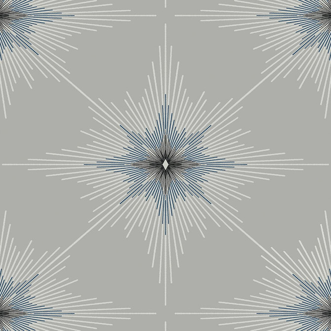 North Star Argos Grey by Seabrook Wallpaper Etten Studios Online Netherlands 57.5 18" 20.9" - Fabric Carolina -