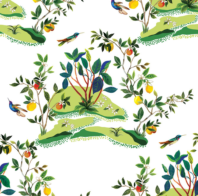 Citrus Hummingbird White by Seabrook Wallpaper West Boulevard Collection United States 60.75 27" 27" - Fabric Carolina -