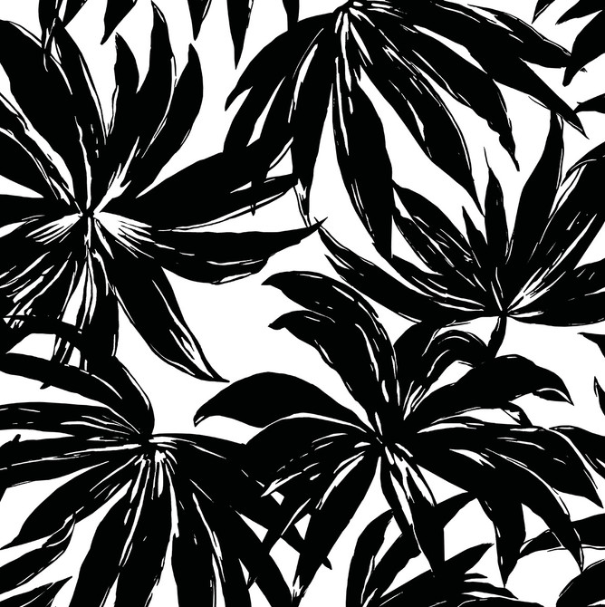 Palma Black by Seabrook Wallpaper West Boulevard Collection United States 56 20.87" 20.5" - Fabric Carolina -