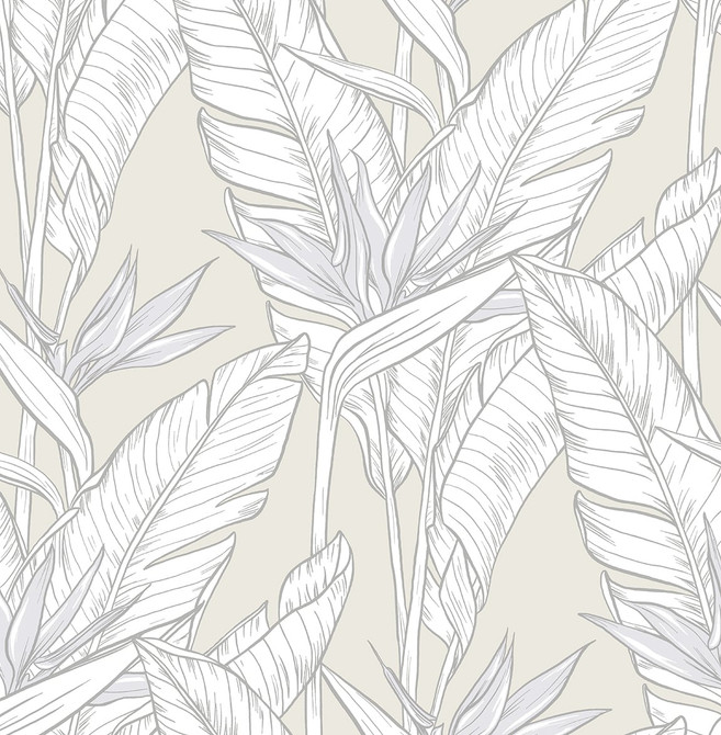 Birds of Paradise Pearl Grey & Metallic Silver by Seabrook Wallpaper Stacy Garcia Peel and Stick United States 30.75 20.87" 20.5" - Fabric Carolina -