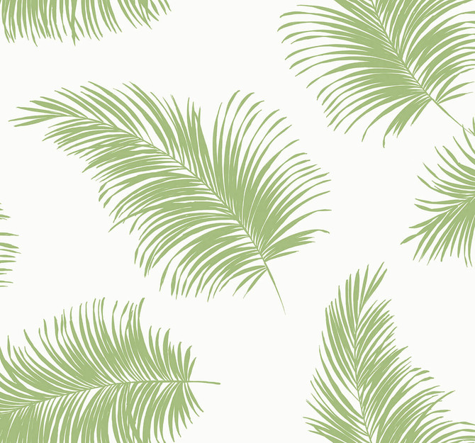 Tossed Palm Summer Fern by Seabrook Wallpaper Lillian August Peel and Stick United States 40.5 25.2" 27" - Fabric Carolina -