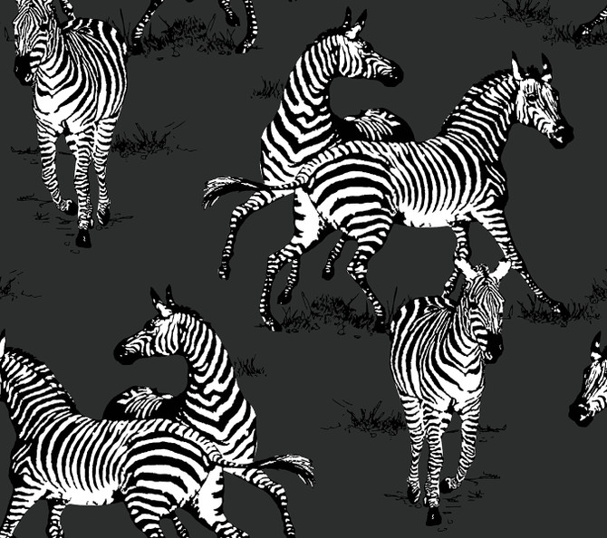 Playful Zebras Charcoal by Seabrook Wallpaper Harry & Grace Peel and Stick United States 40.5 24" 27" - Fabric Carolina -