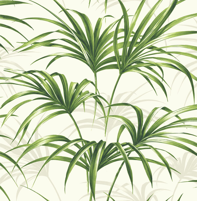 Tropical Palm Leaf Green and Off-White by Seabrook Wallpaper NextWall Peel & Stick United States 30.75 20.87" 20.5" - Fabric Carolina -
