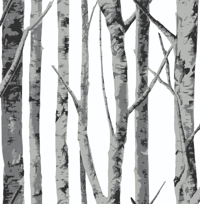 Birch Trees Monochrome by Seabrook Wallpaper NextWall Peel & Stick United States 30.75 20.87" 20.5" - Fabric Carolina -